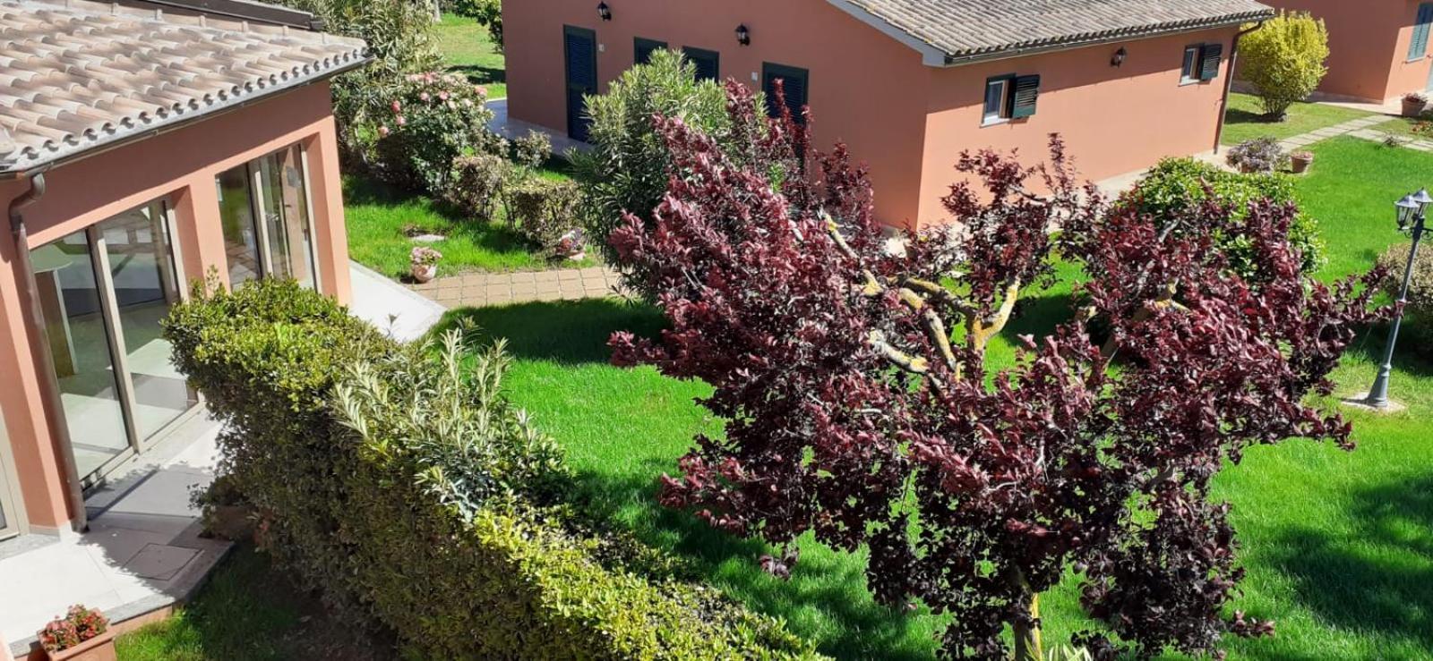 Farm stay Agrifoglio Capalbio